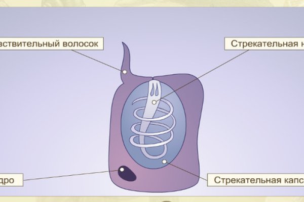 Вход в кракен даркнет