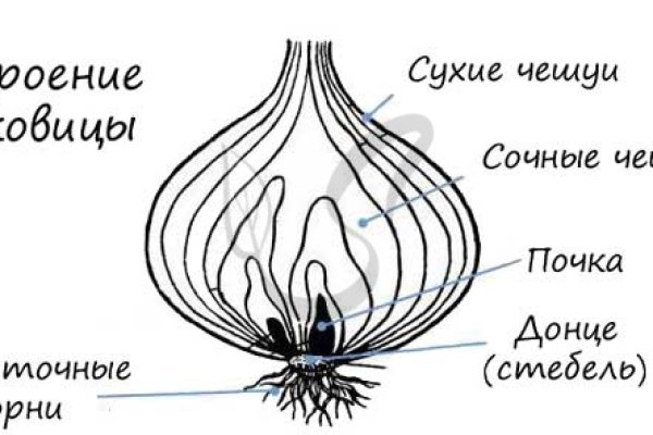 Почему не получается зайти на кракен