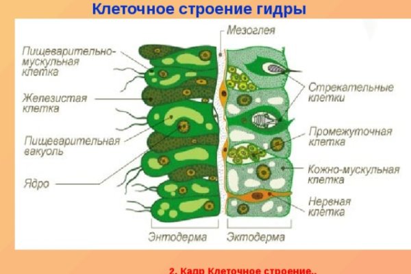 Что такое кракен магазин