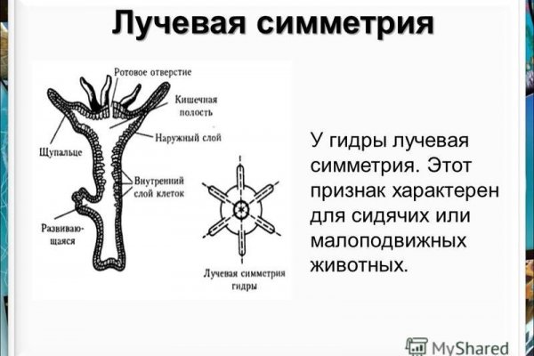 Кракен наркоплейс