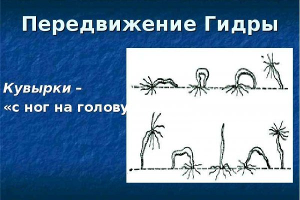 Ссылка на кракен онион