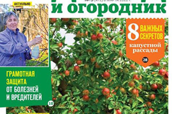 Кракен плейс