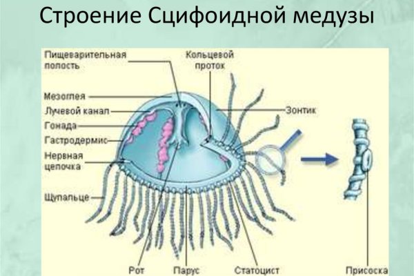 Кракен площадка ссылка